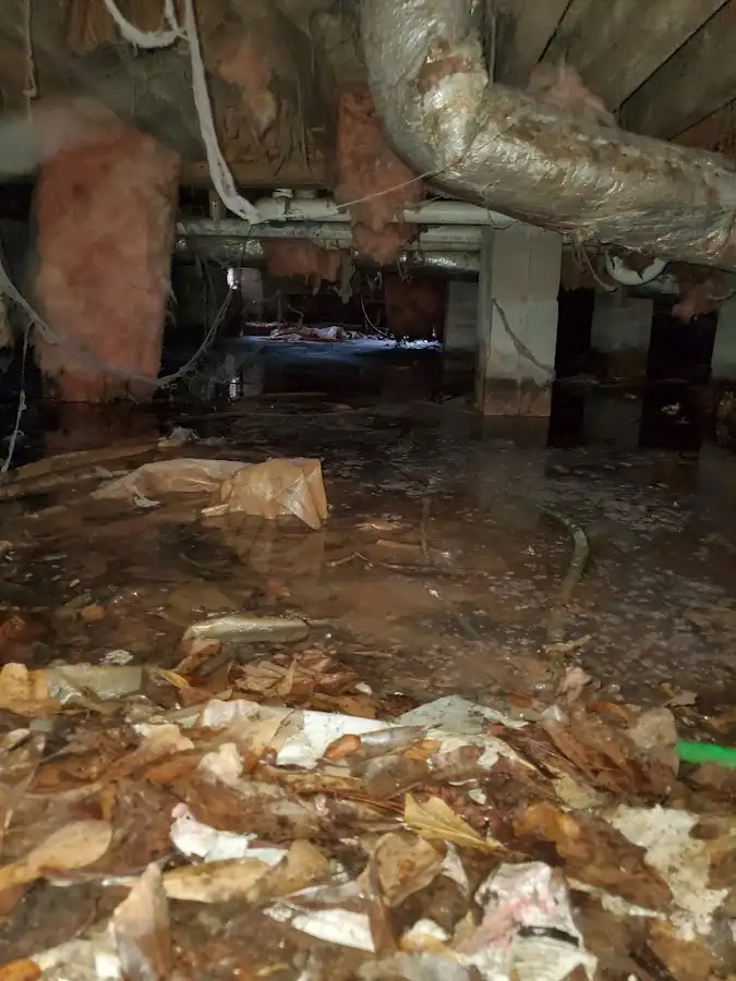 Crawl space flood assessment for Leak Detection & Repair in West Loch Estate